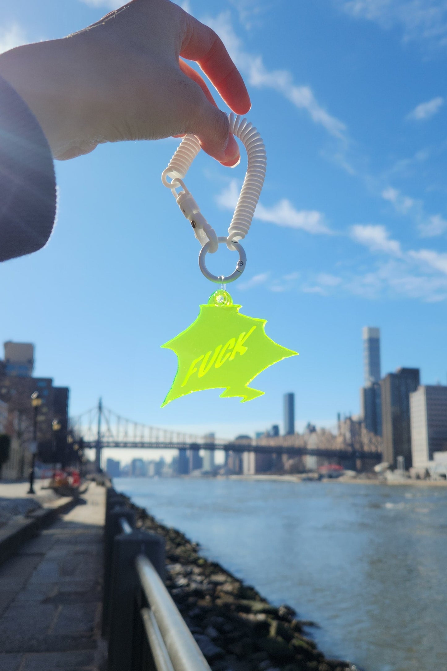 Key Ring, Bag Charm Fuck